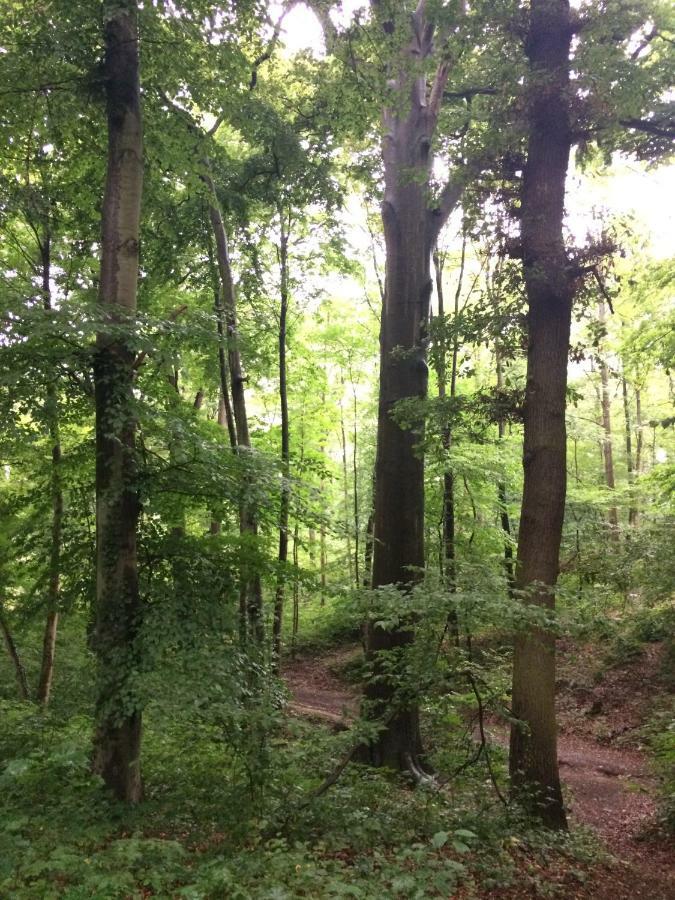 Eifel-Lounge Blockhaus Mit Kamin Garten Balkon Nahe Koeln Therme Bruehl Phantasialand Weilerswist Eksteriør billede