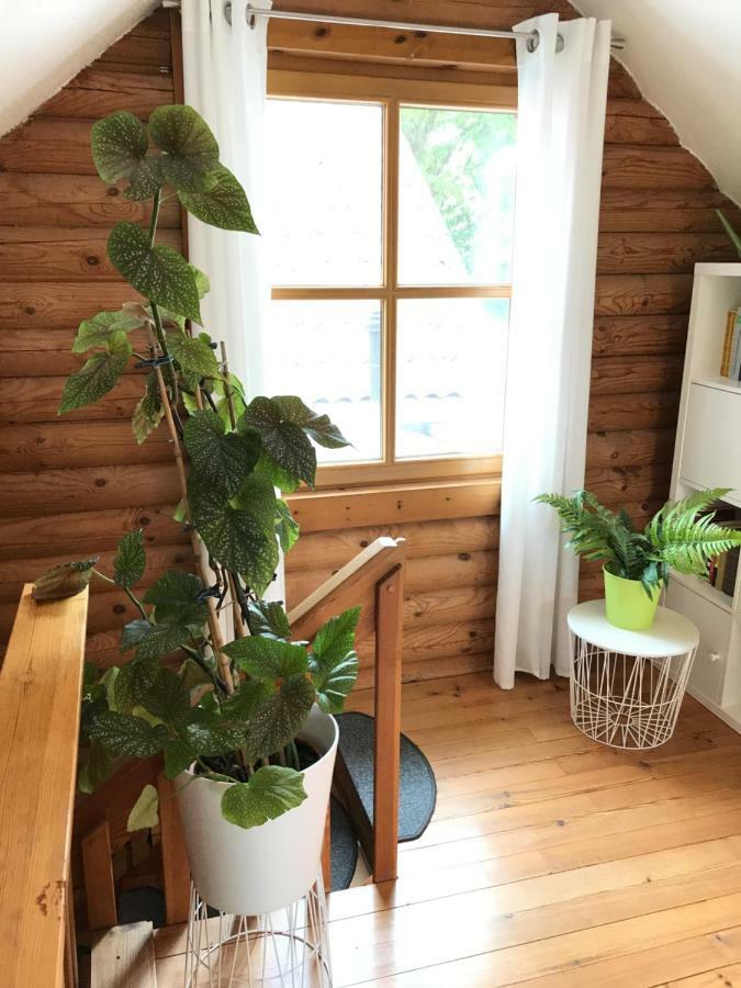 Eifel-Lounge Blockhaus Mit Kamin Garten Balkon Nahe Koeln Therme Bruehl Phantasialand Weilerswist Eksteriør billede